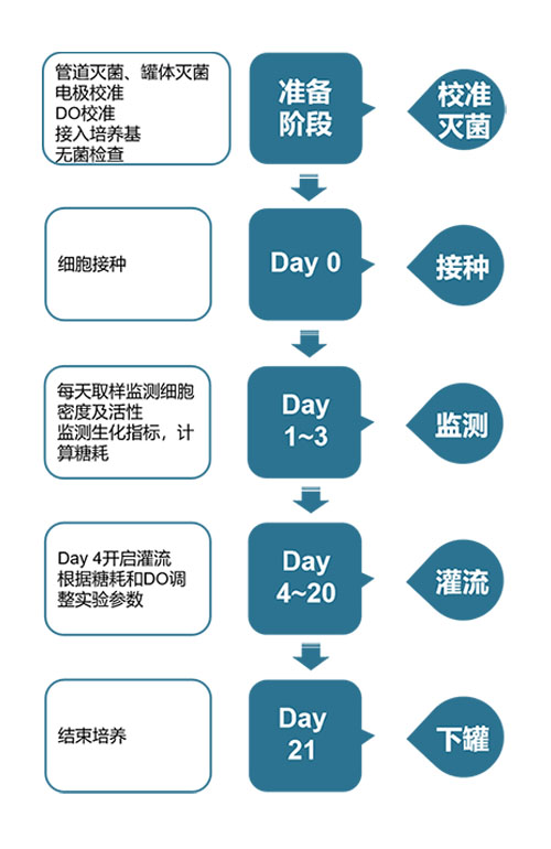 SKC800细胞培养流程图.jpg