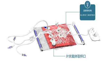 喜讯|赛科成“片状载体袋”获国家级发明专利授权